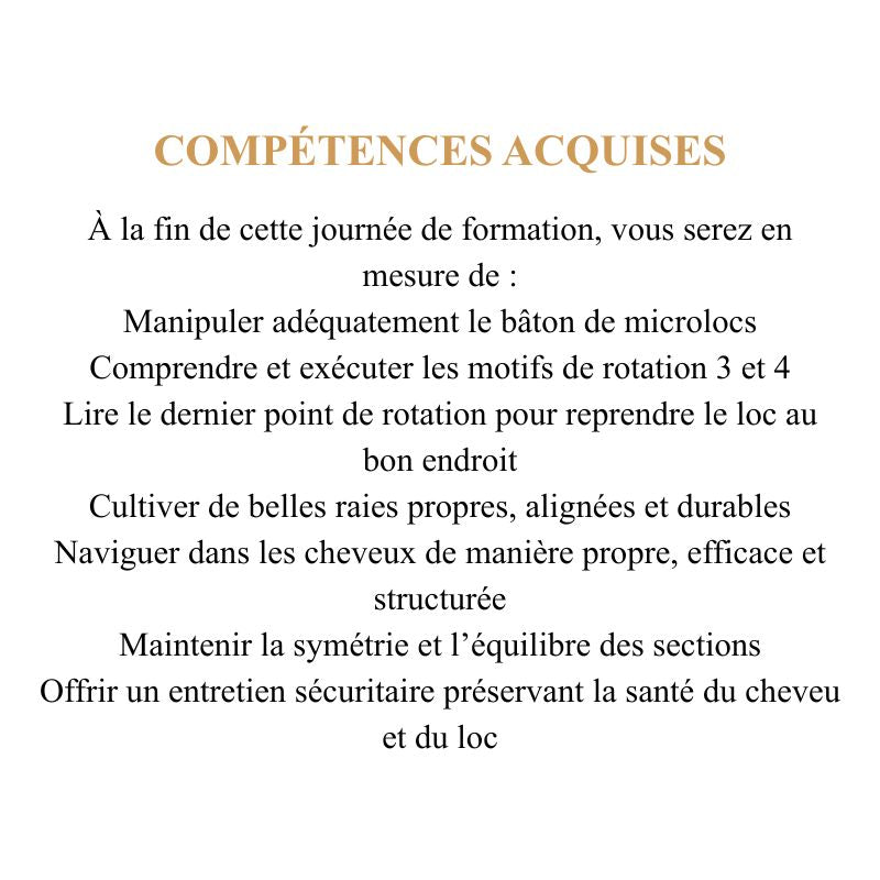 Hands-on locs and microlocs bootcamp class by L’ABC Des Locs teaching professional locking techniques