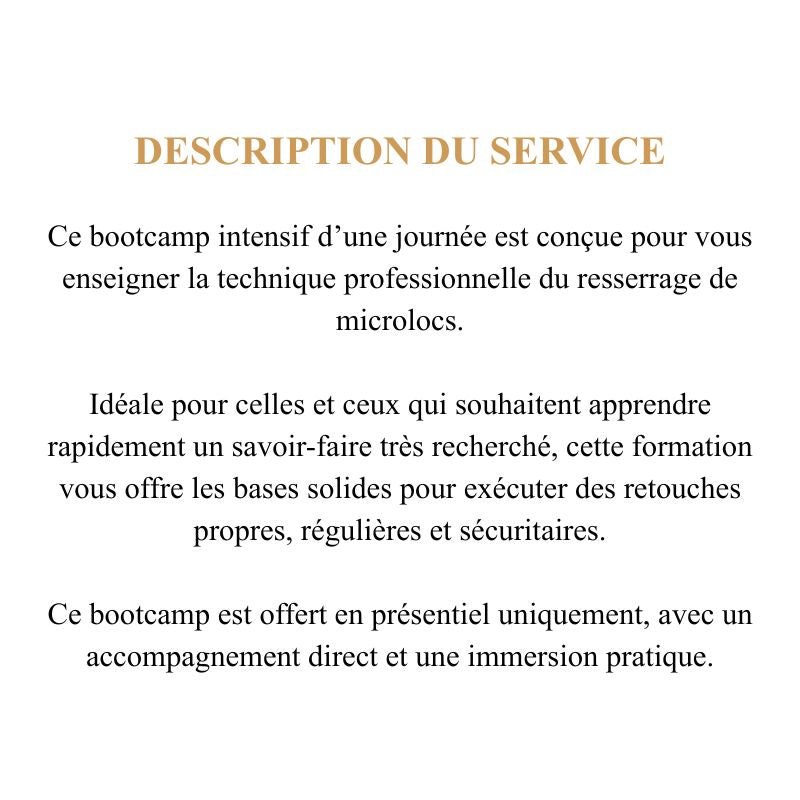 Hands-on locs and microlocs bootcamp class by L’ABC Des Locs teaching professional locking techniques